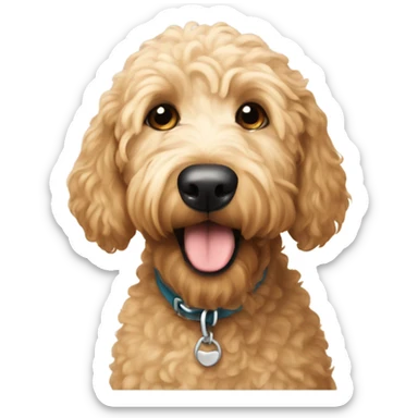 My dog Millie who is a golden doodle and very cute sticker
