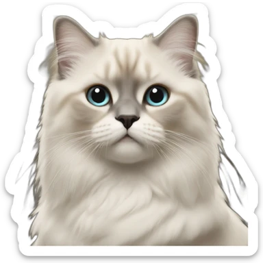 Sacré de birmanie sticker