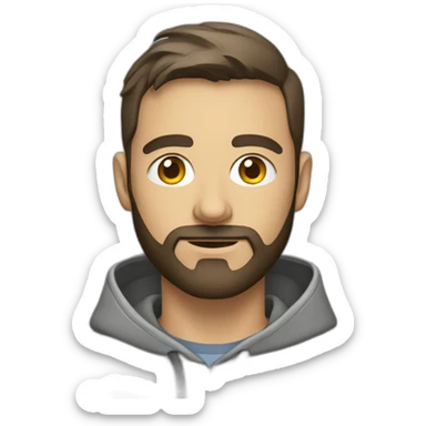 Project manager in a gray hoodie and with a short beard sticker