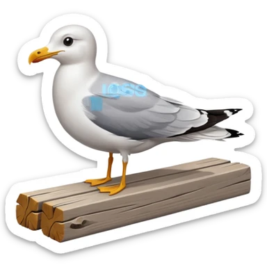 A seagull rocking sticker
