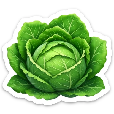 cabbage sticker