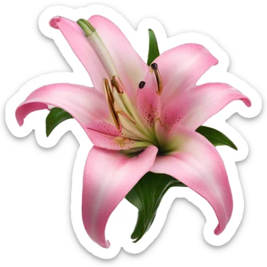 hair claw/clip with pink lily ( accessory)  sticker