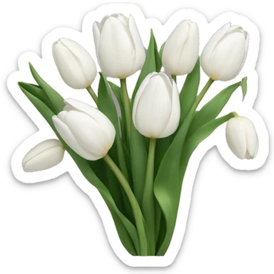 White tulips sticker