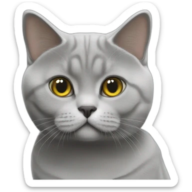 british shorthair cat grey white sticker