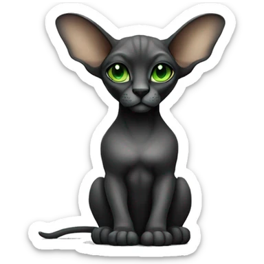 Pretty sphinx black or gray with big ears and green eyes. Sitting and licking  sticker