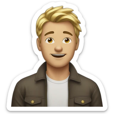 Stupid boy + strees sticker