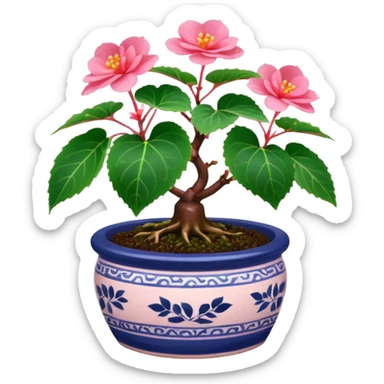 Begonia bonsai sticker