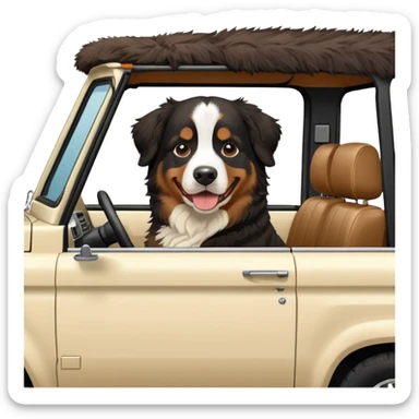 Bernese mountain dog in a cream colored ford bronco with no roof sticker