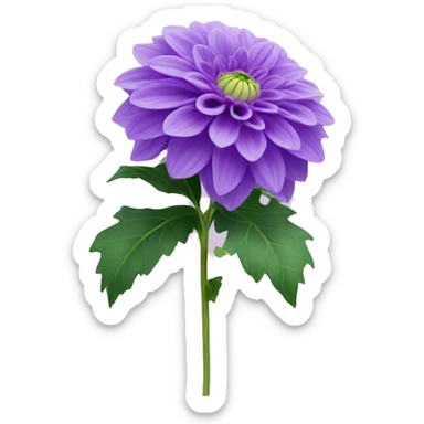 Baby purple dahlia flower with green stem sticker