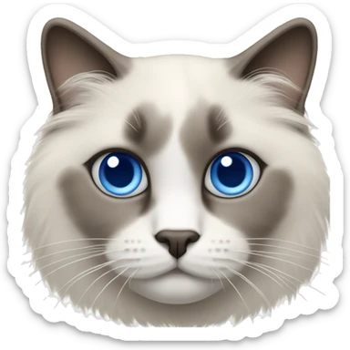 Ragdoll cat with blue eyes smaller head sticker