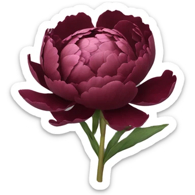 Burgundy peonie  sticker
