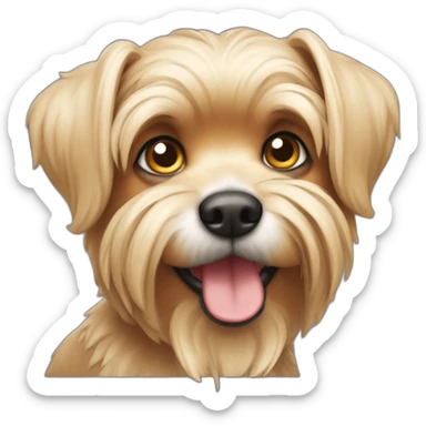 perro yorkshire canoso con orejas puntiagudas sticker