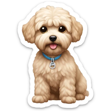 maltipoo sticker