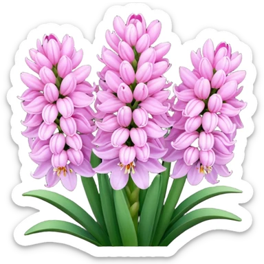 Pink hyacinth sticker
