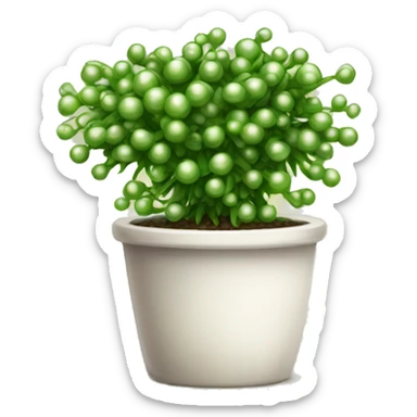 String of pearls houseplant sticker