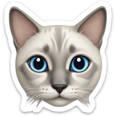 Blue Tabby Point siamese kitty cat sticker