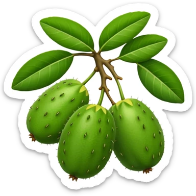feijoa fruit with leaves sticker