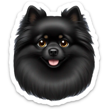 Black Pomeranian long hair sticker