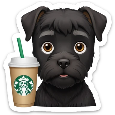 All Black schnauzer with a Starbucks cup sticker