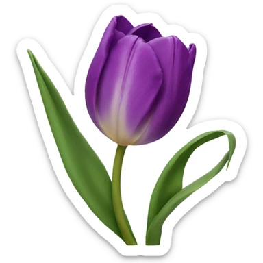 purple tulip sticker