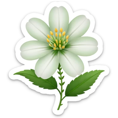 veronica flower white sticker