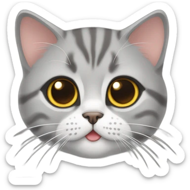 cute tabby British shorthair cat sticker
