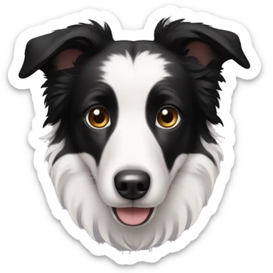 A cute Border Collie with black ears, only has black and white hair sticker