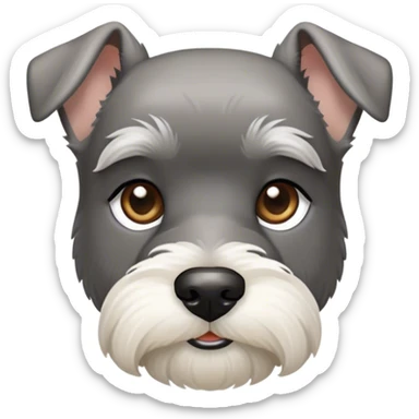 Cinematic Noble Miniature Schnauzer Portrait Emoji, Standing with a proud and stately demeanor, showcasing a sharply defined, salt-and-pepper fur with distinguished eyebrows and a confident, alert expression, simplified yet exquisitely detailed, glowing with a refined, dignified radiance, high shine, exuding intelligence and classic noble charm, soft glowing outline, capturing the essence of a noble Miniature Schnauzer that commands attention with effortless style! sticker