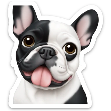 Black and white French bulldog sticker