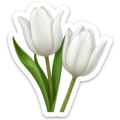 White tulipes sticker