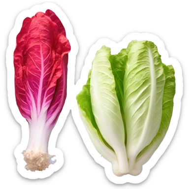 One red colored napa cabbage, red pepper powder on it sticker