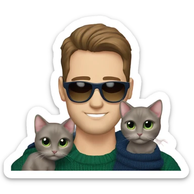 Brown hair handsome man wearing designer sunglasses. He has blueish green eyes. He is holding a hairless cat. His sweater is navy with an American flag sweater sticker