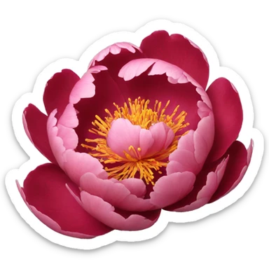 Peony red sticker