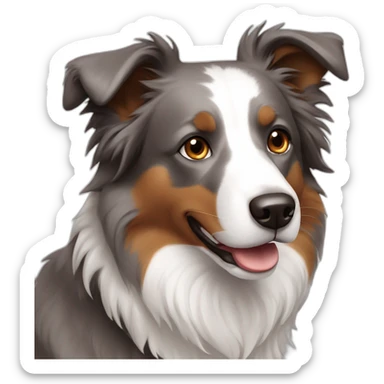 Brown eyes and gray colour Border collie sticker