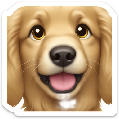 Golden retriever puppy sticker