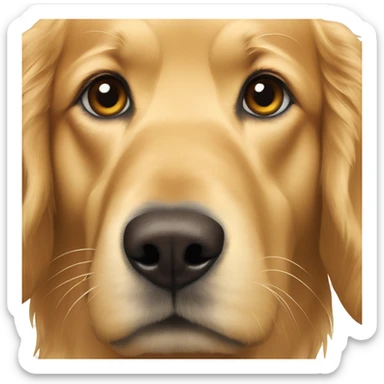 Golden retriever with a red coat sticker