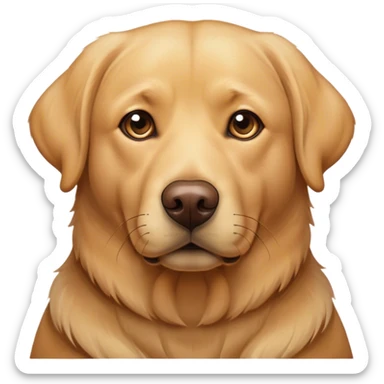 Realistic older golden lab sticker