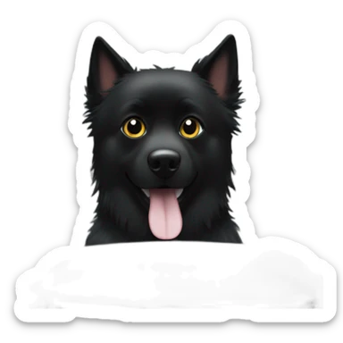 Schipperke dog head with black hair in BMW car sticker