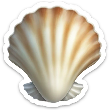 Sea shell sticker