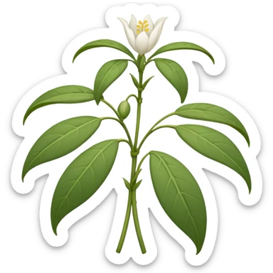 wilted jasmine sticker