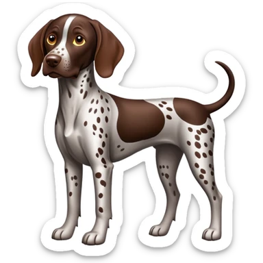 Create a liver patched and ticked German shorthaired pointer with a docked tail sticker