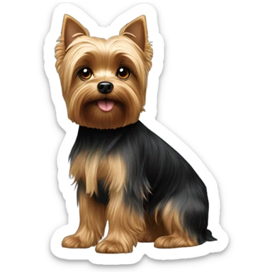 Un yorkie  terrier mini   sticker