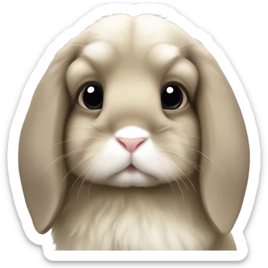 Bunny holland lop sticker