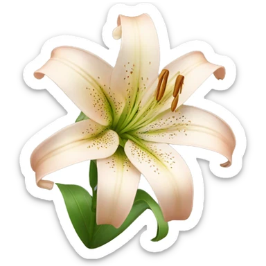 Lilies flower sticker