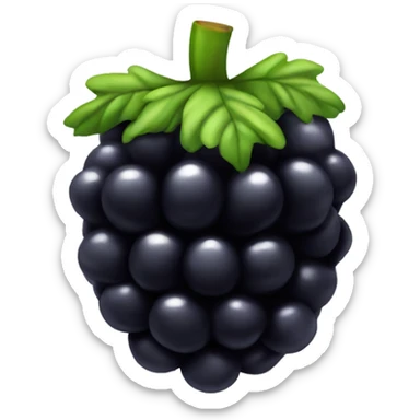 Blackberry  sticker