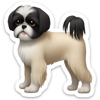 black Shih-Tzu cream chest and feet sticker