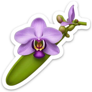native orchid sticker