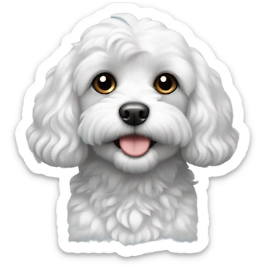 Black and white cavapoo sticker