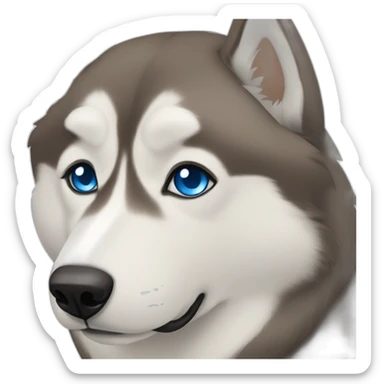 Husky in capuchino colors with one blue eye sticker