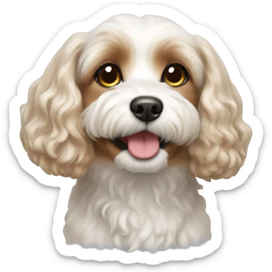 cavachon dog  sticker